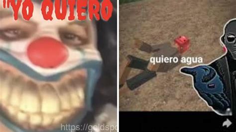 quieres agu